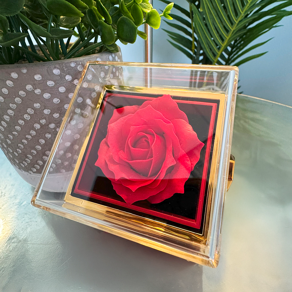 Liebesknoten mit rotierender Rosengeschenkbox